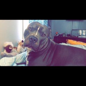 Meet your Posher, Alexia